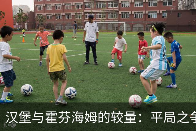汉堡与霍芬海姆的较量：平局之争还是“客胜”的潜力？